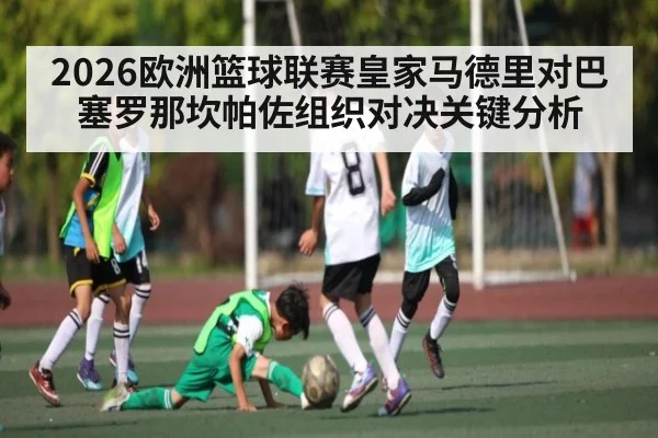 2026欧洲篮球联赛皇家马德里对巴塞罗那坎帕佐组织对决关键分析