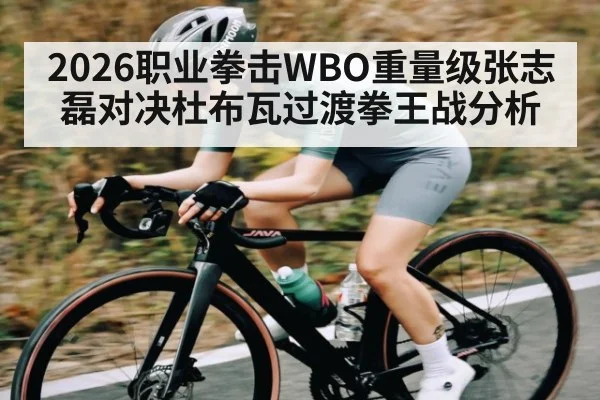 2026职业拳击WBO重量级张志磊对决杜布瓦过渡拳王战分析